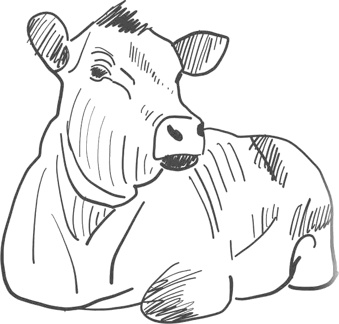 Téléphone avec application mobile