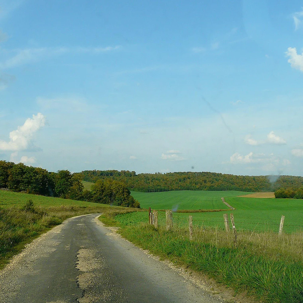 Route de campagne et champs verts